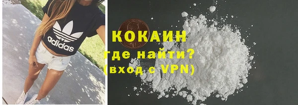 твердый Алексин