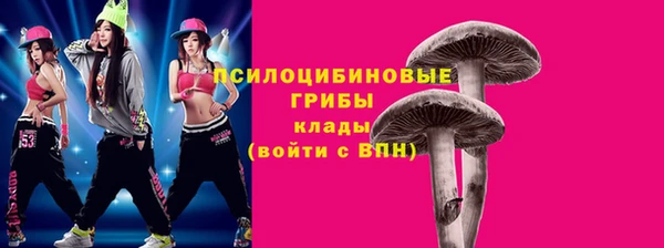 твердый Алексин