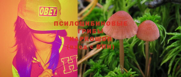 стаф Алексеевка